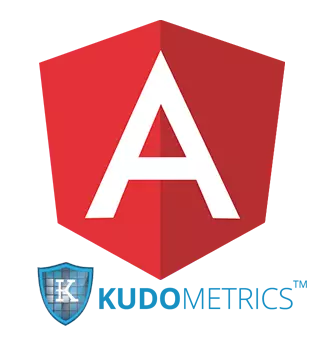 AngularJS Development Services