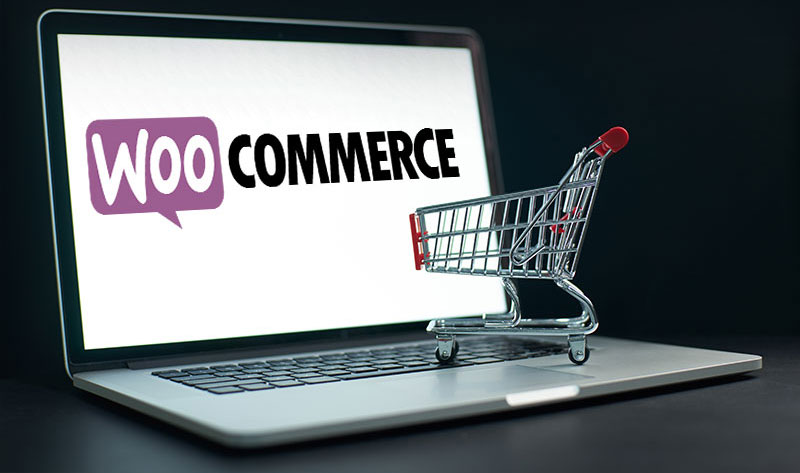 Why the World Loves WooCommerce